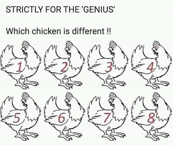 WemaBars📶 tweet media