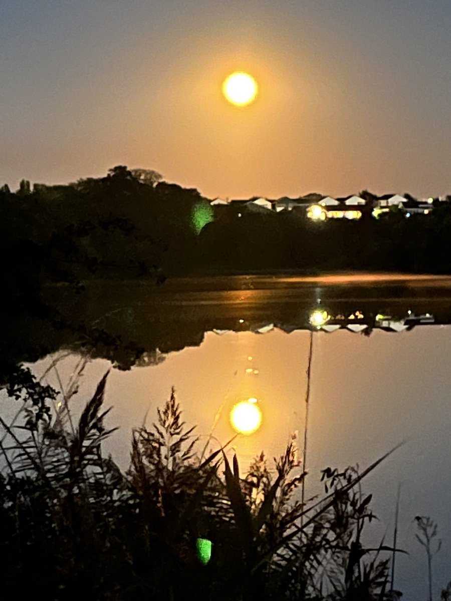 David Allred tweet media