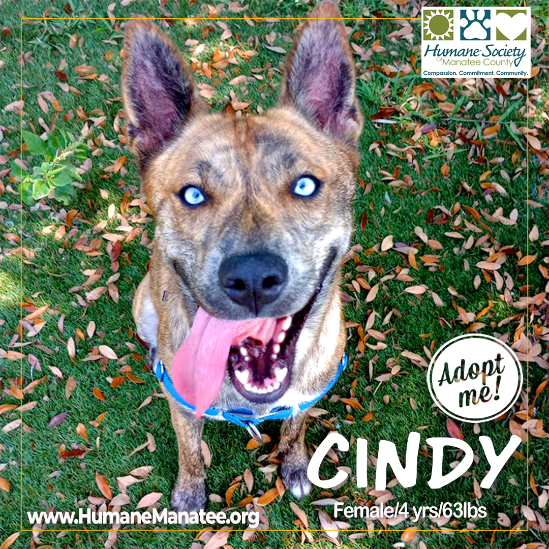 Humane Soc. Manatee tweet media