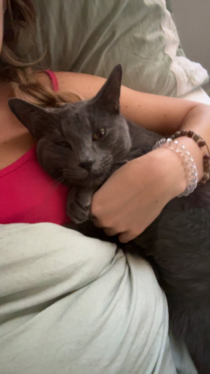 Rossislefteyeld's tweet photo. I love my cat and nothing will ever be better than him like I literally cannot explain how much this boy means to me he is the love of my life and I will never get over how excited I am to see him and excited he is to see me every-time I come home https://t.co/wco91ZaupE