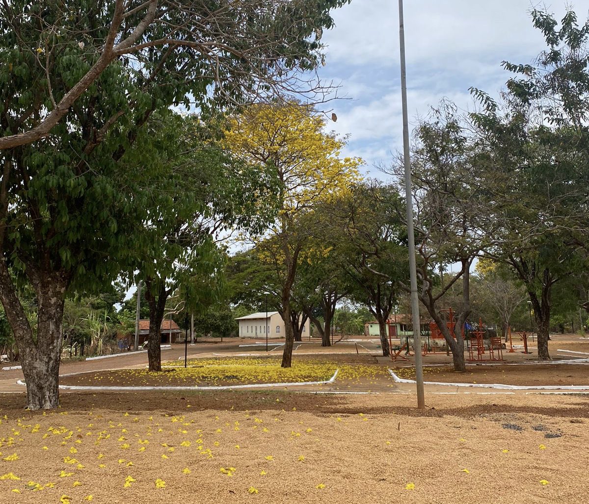 Ivonete Motta (@imotta2) on Twitter photo Buritirana é Palmas, mas com a quietude do interior. A praça com o rendado do ipê amarelo e a igreja matriz circundando esse cenário. O silêncio di Brasil longe das metrópoles. Imagem por <a href="/bomdiaricardo/">Prefeito do Tuiter</a> Buritirana é Palmas, mas com a quietude do interior. A praça com o rendado do ipê amarelo e a igreja matriz circundando esse cenário. O silêncio di Brasil longe das metrópoles. Imagem por <a href="/bomdiaricardo/">Prefeito do Tuiter</a>