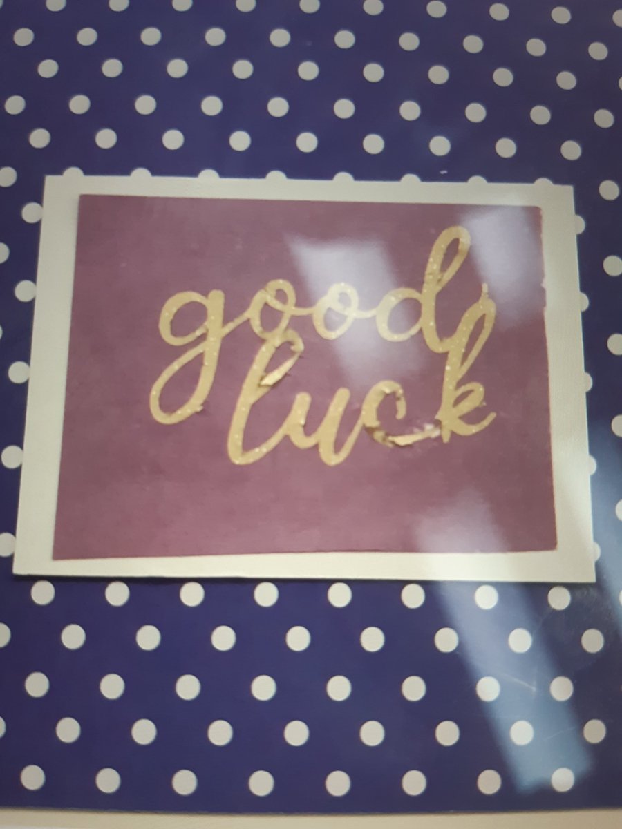 Bernadette tweet media