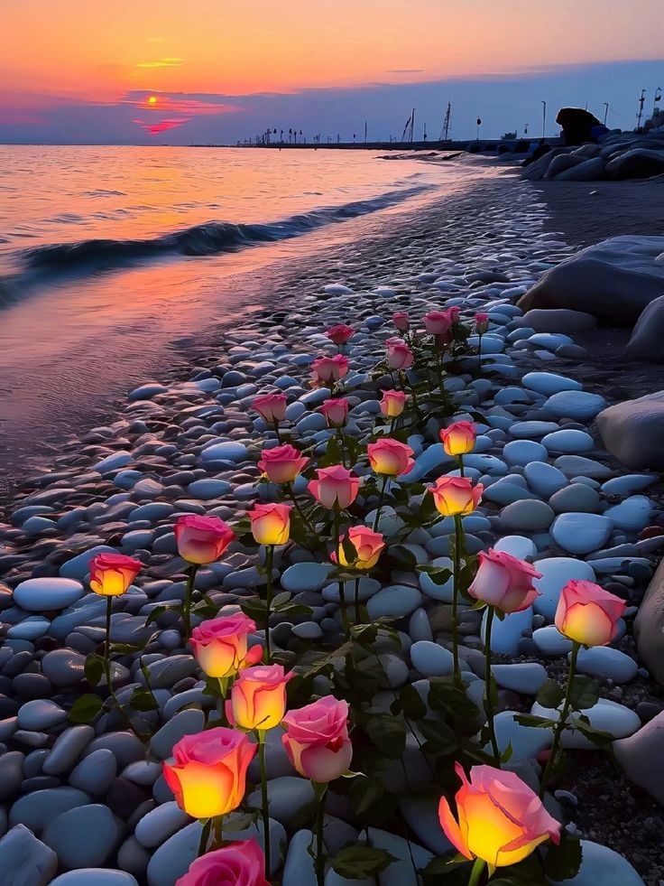 ANGELES đâïžđ· (@angelesbermejo1) on Twitter photo <a href="/t_mahiro/">đŠđđžđ€čđ»ââïžMahirođ§đ»ââïžđžđđŠ</a> Thank you dear Mahiro. Good night and sweet dreams for you đ <a href="/t_mahiro/">đŠđđžđ€čđ»ââïžMahirođ§đ»ââïžđžđđŠ</a> Thank you dear Mahiro. Good night and sweet dreams for you đ