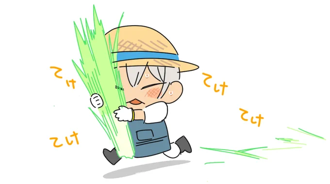 芽ねぎ農家 