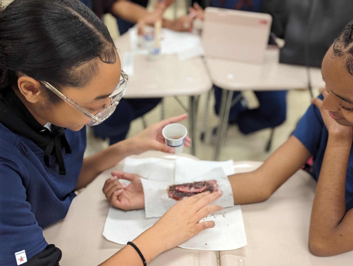 Spalding CTAE 𝓚𝓲𝓶𝓫𝓮𝓻𝓵𝔂 𝓢𝓱𝓮𝓹𝓹𝓪𝓻𝓭 tweet media