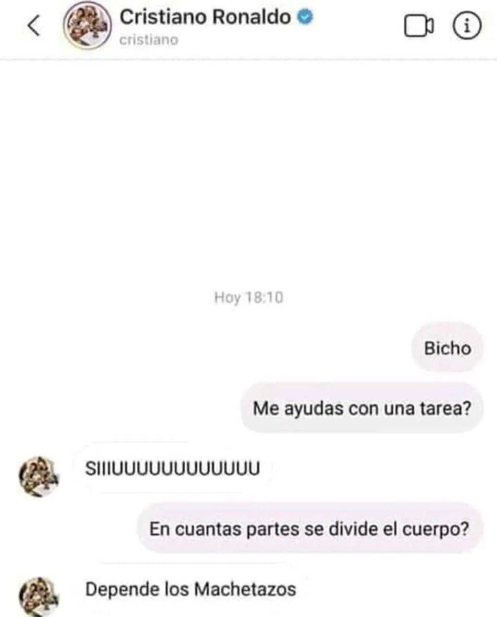 Bicho?
