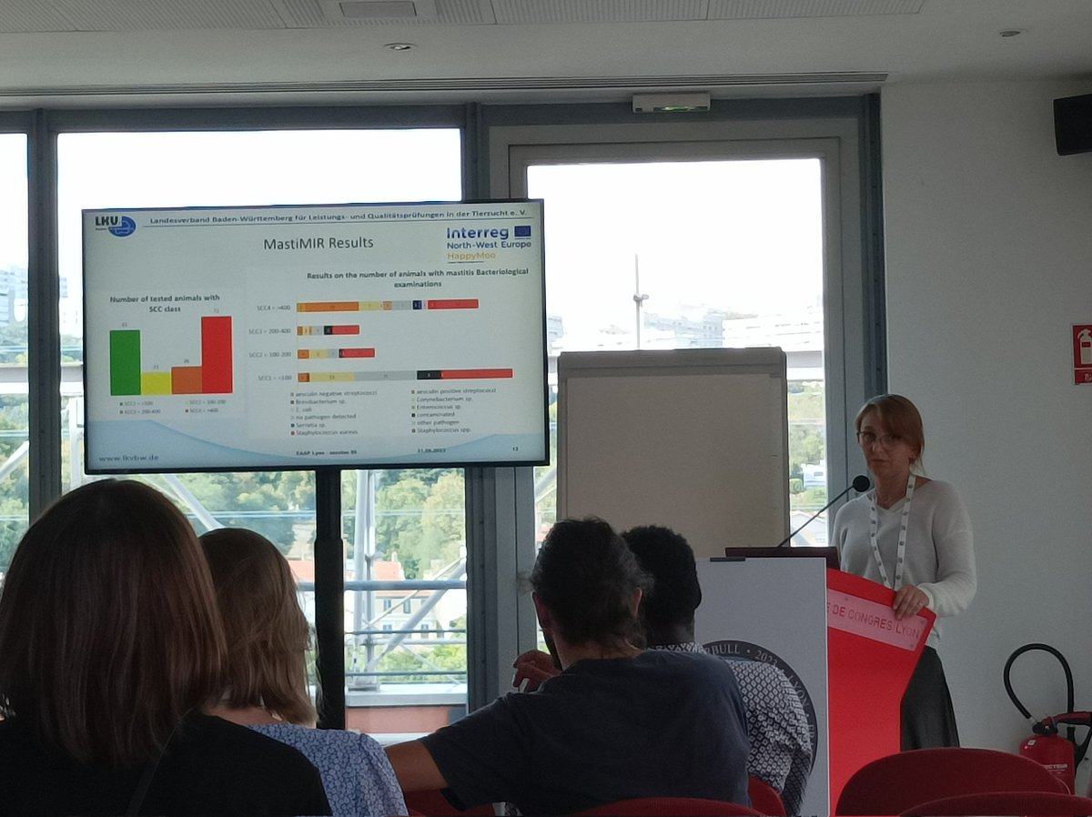 HappyMoo tweet media