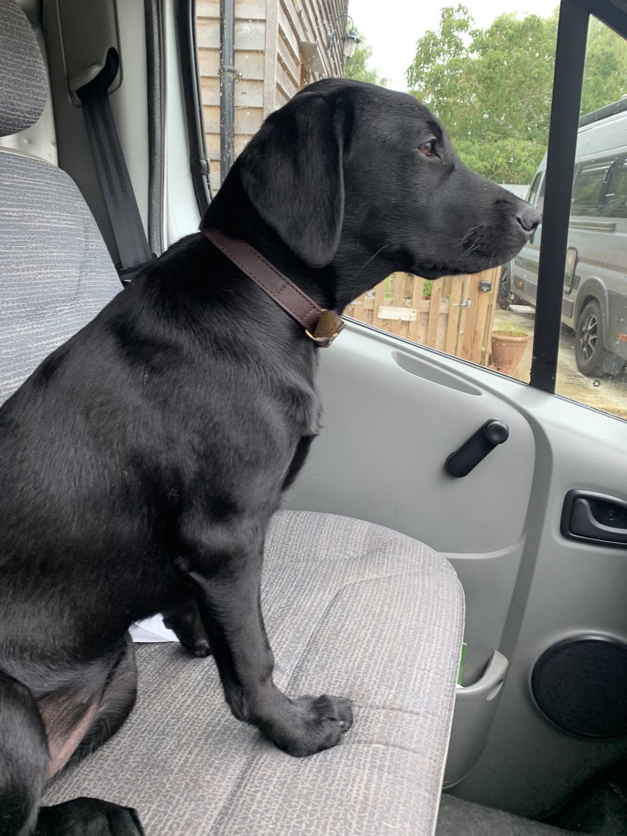 BossFaulkner's tweet photo. Little sister Bea going to work with Dad today 😁me I’m staying at home 💤💤😂 https://t.co/qWr9hIeNEV