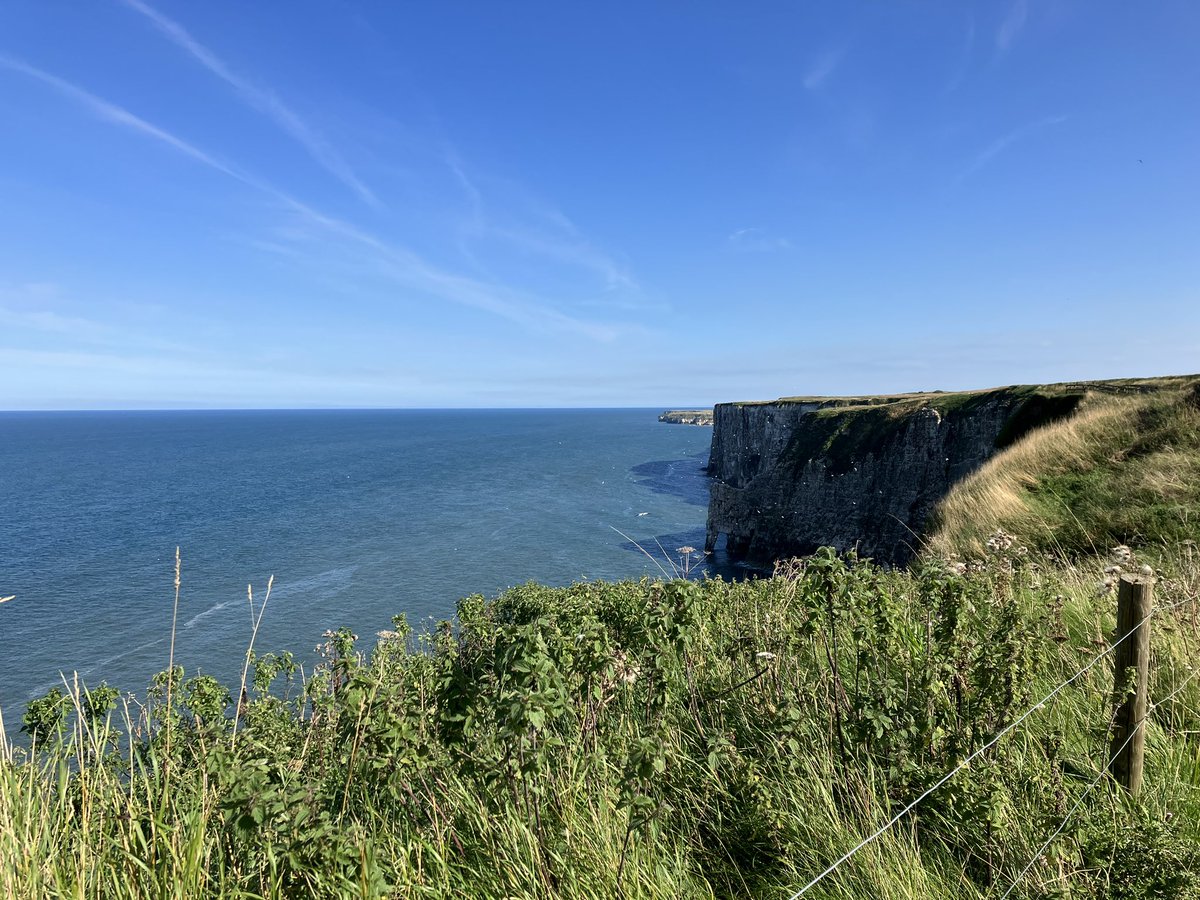 chutneybythesea's tweet photo. #BEMPTONPUFFIN Coastal monitoring https://t.co/Iksne27VPg