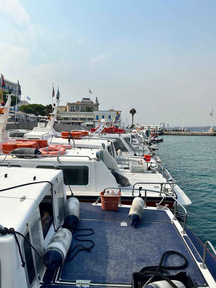 Home Suite Hope tweet media