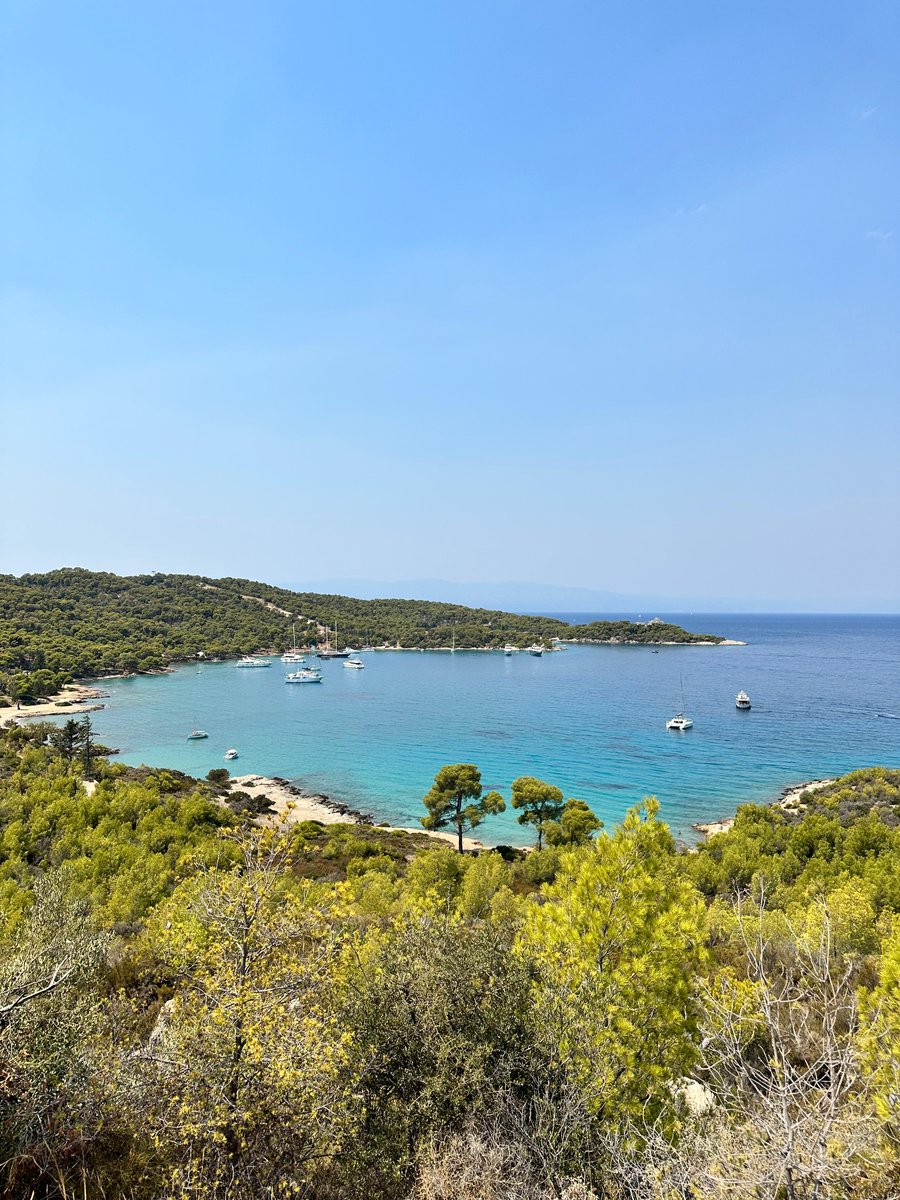 Home Suite Hope tweet media