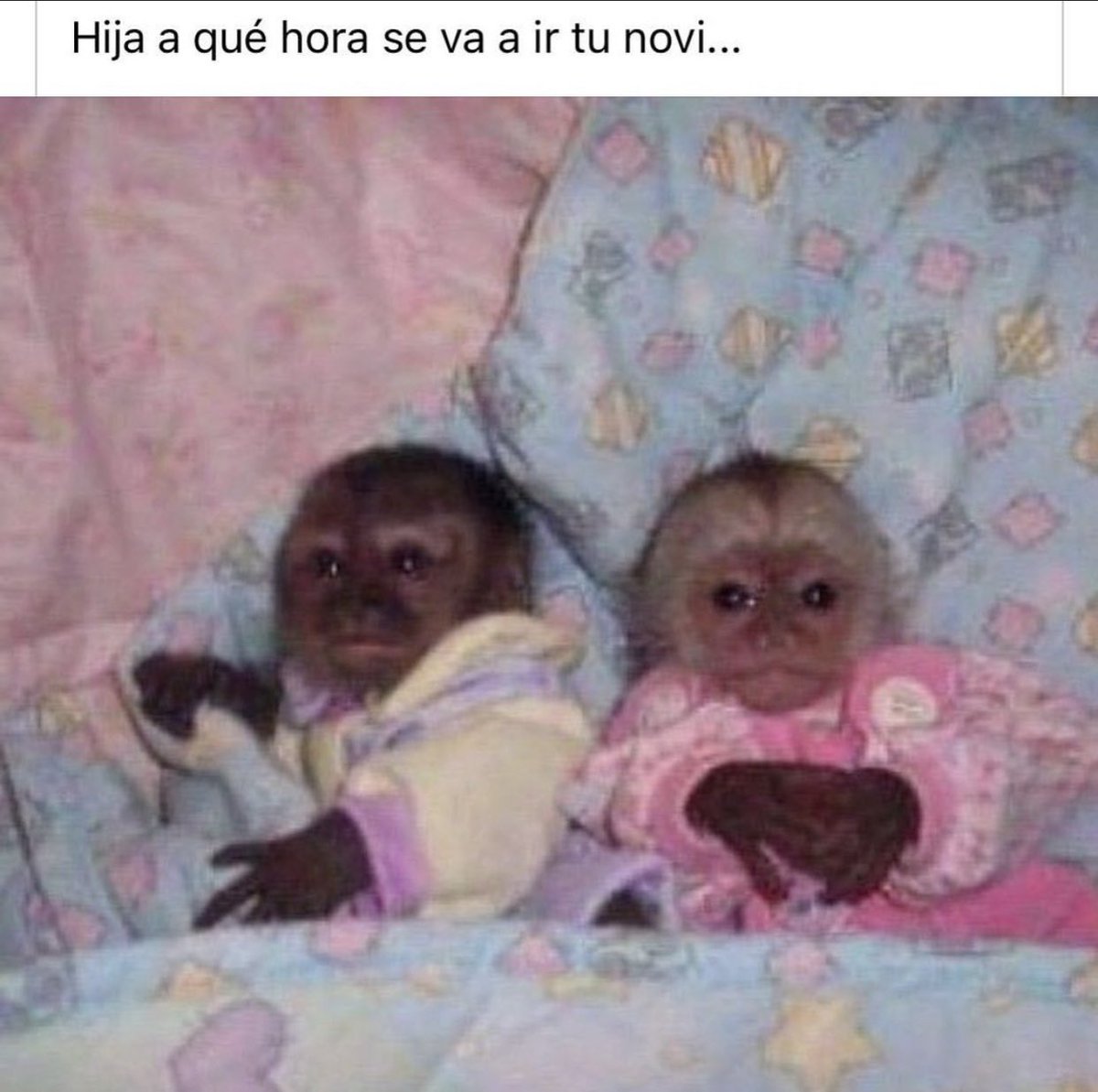 Marielalesalde's tweet photo. El gordo y yo desde hace 2 años. https://t.co/rUHG9Cinlh