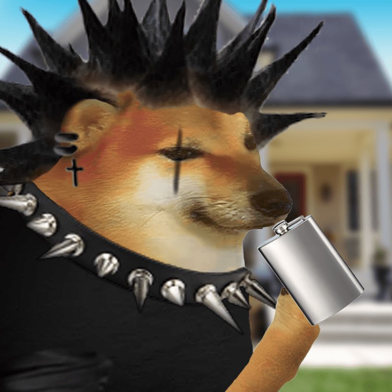 Kimoo - Own $DOBO or stay hobo tweet media