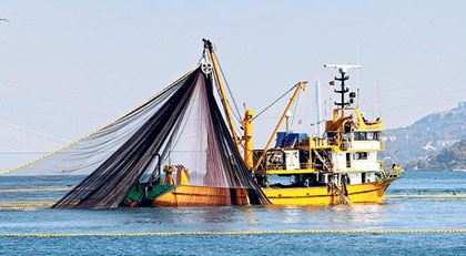 2023-2024 Balık sezonu "Vira Bismillah" diyerek, bu geceden itibaren açılıyor. 
Tüm balıkçı kardeşlerimizin yeni sezonu hayırlı uğurlu olsun. Rabbim kazasız, belasız bereketli bir sezon geçirmeniz dileğiyle, 
Rastgele İnşallah...