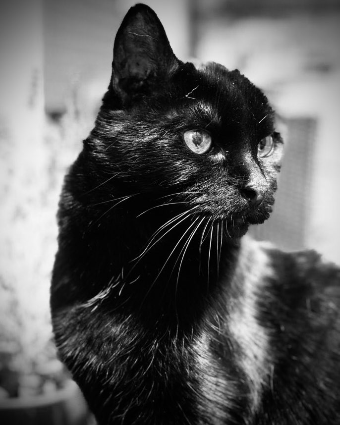 𝗛𝗜𝗥𝗡𝗦𝗧𝗨𝗥𝗭 tweet media