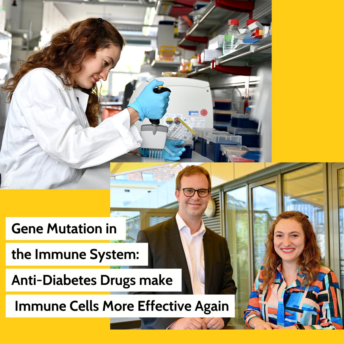 StAnna_CCRI's tweet photo. 🧬🔍Researchers @StAnna_CCRI &amp; @marmara1883 uncovered that an inborn #geneticdefect for #NFATC1 leads to an immune deficiency disrupting immunometabolism. Surprisingly, anti-diabetes medications normalize the disruption! Published in @BloodJournal >>>🔗https://t.co/M4mrHCpube https://t.co/1OaJY6eP7i