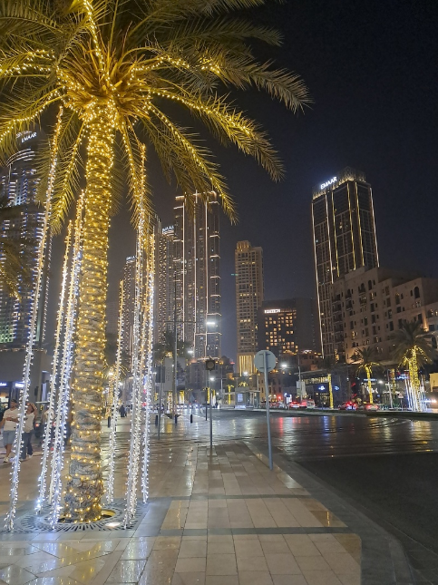 trewex_eth's tweet photo. To Do list for today:

-warmup ✅
-read ✅
-go to the gym✅
-make notes ✅
-work on the project ✅
-end the day with a walk through the city ✅ https://t.co/hnDMmkqvm2