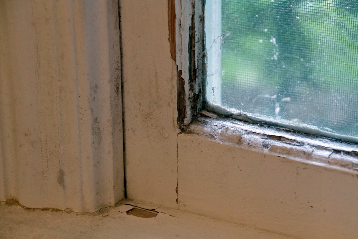 New research led by #UIC Chancellor Marie Lynn Miranda establishes an enduring connection between racial segregation, childhood blood lead levels: today.uic.edu/racial-segrega…