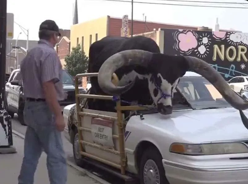 Barstool Sports tweet media