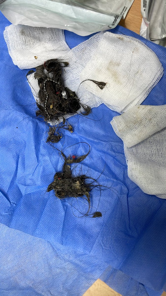 vetartveteriner's tweet photo. Kusma şikayetiyle kliniğimize gelen köpek hastamıza çekilen röntgen sonucunda yabancı cisim tespit edildi. Sözkonusu cisimler henüz midede olduğu için çıkarılmak üzere endoskopiye alındı ama görünen yuttuklarının sadece bir kısmıydı! https://t.co/1EG78hqATT