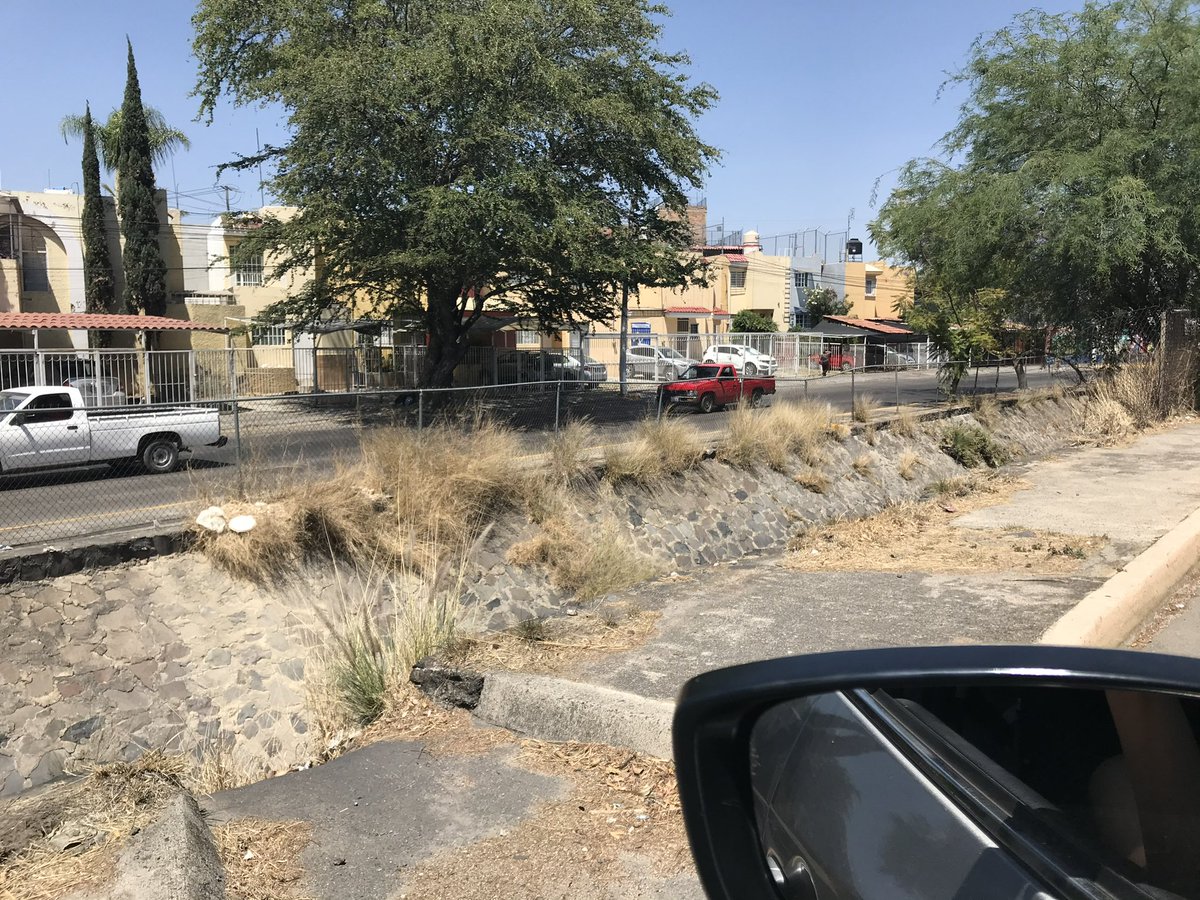 ealejandreu's tweet photo. @PabloLemusN reporte GUMX00140270 no lo solucionan aún. La respuesta: que no hay malla. El problema es en avenida patria, entre Enrique Díaz y Federalismo, y NO, NO es del lado residencial que tan bonito está 😞.  Y ya ahora con la lluvia  hay árboles caídos. Urge!! https://t.co/6R4gRHTeIy