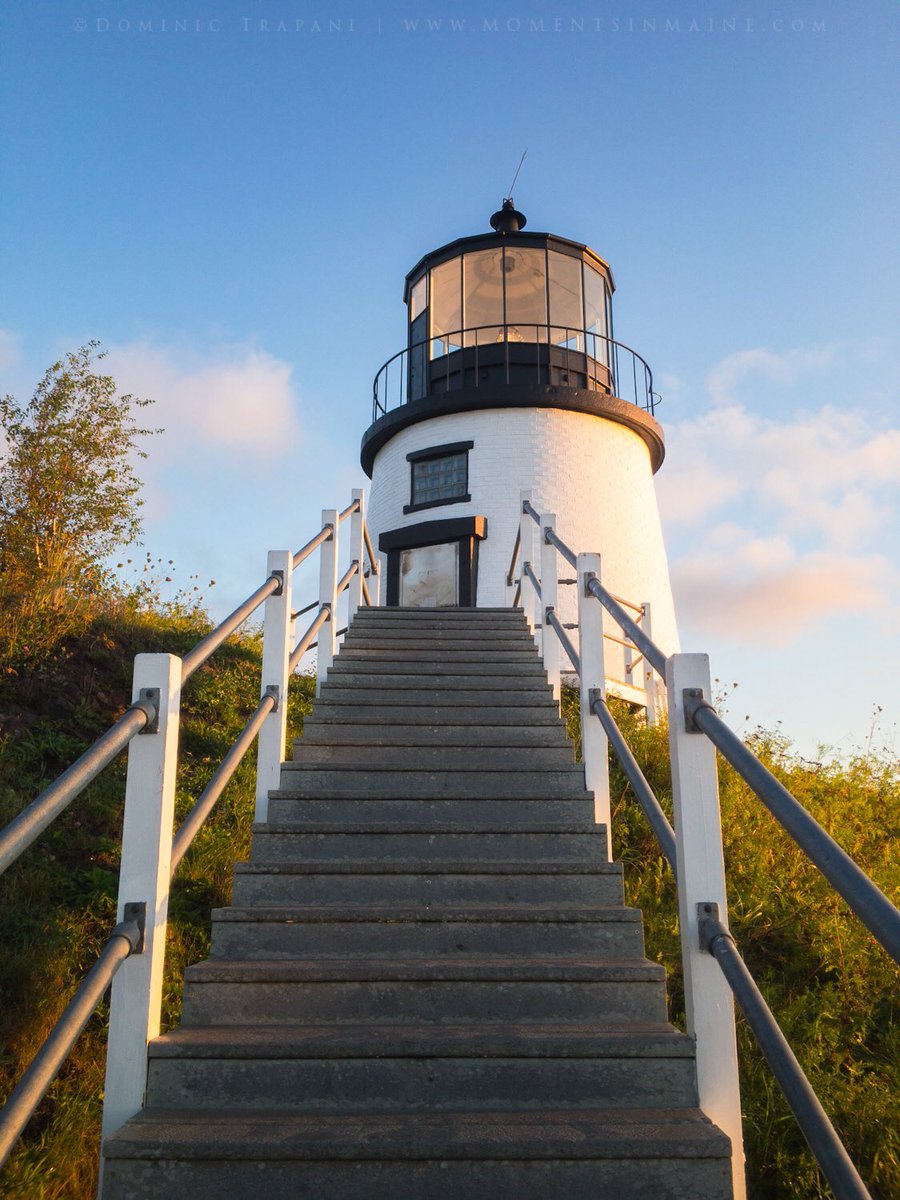 Dominic Trapani tweet media