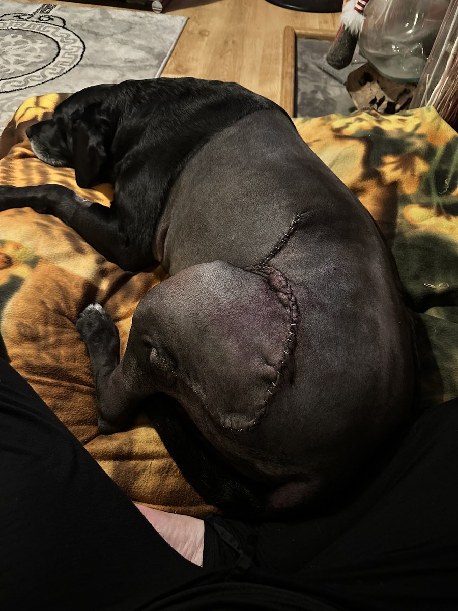 I think they got the whole tumour