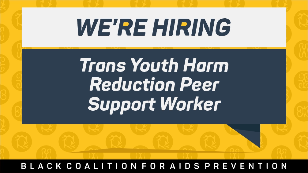 We are hiring for the following positions: - Youth Social Media & Communications Coordinator - BIPOC Alliance Harm Reduction Coordinator - Trans Youth Engagement Peer Worker Read more at: ow.ly/OzsQ50PGpyw