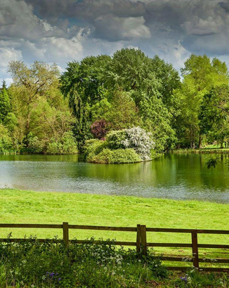 " The green, green grass of home... "  💚🎵🎙️
