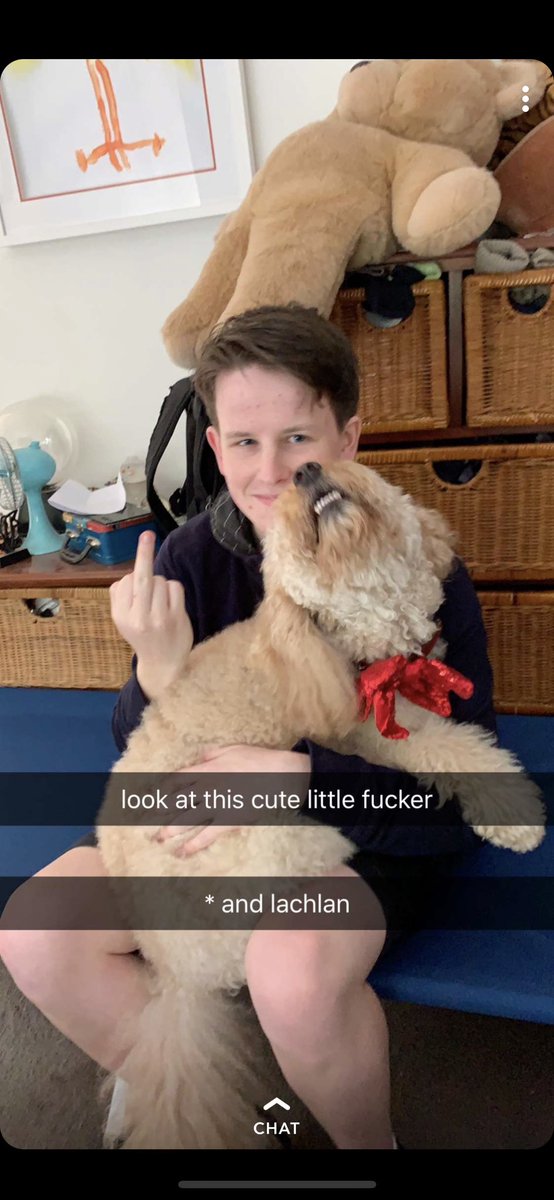 Andrew Wiik tweet media