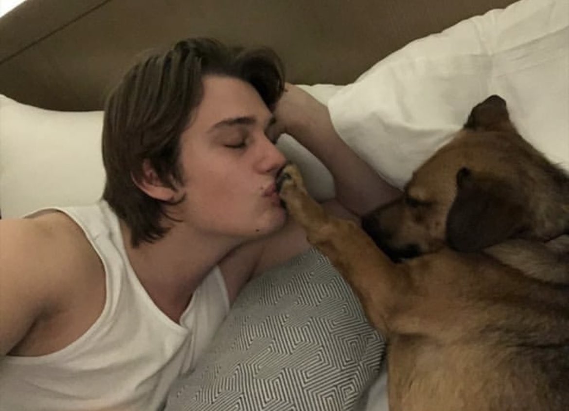 this is peak dog behavior