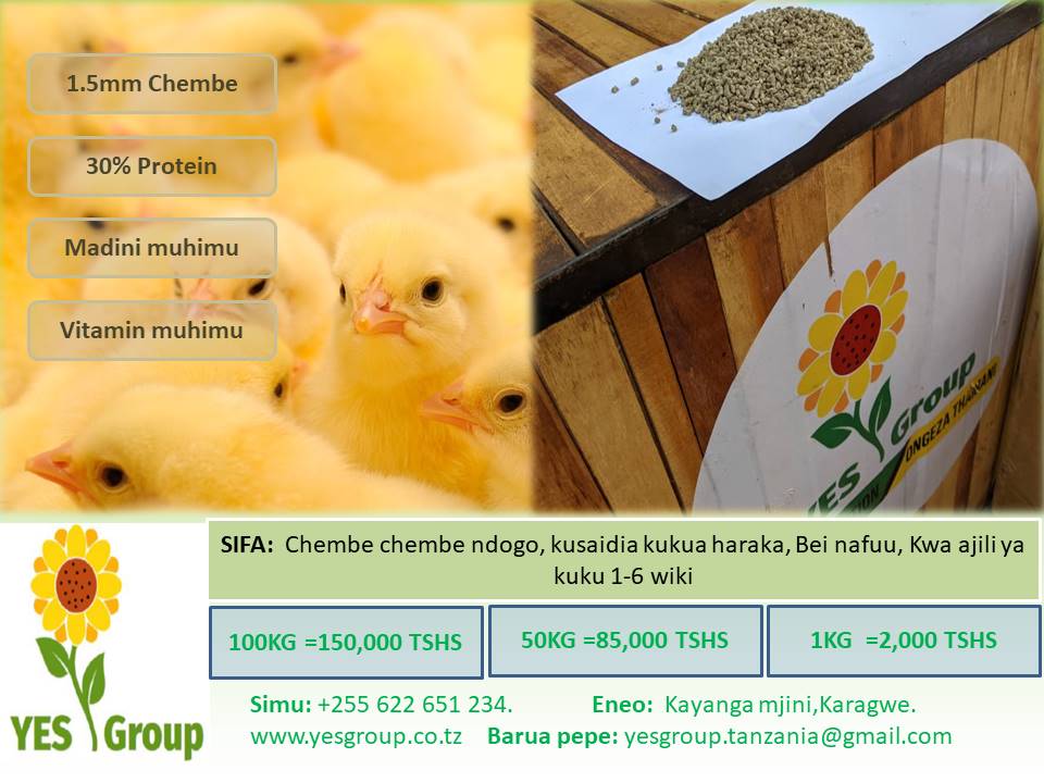 YES Group (@yesgroup7) on Twitter photo 