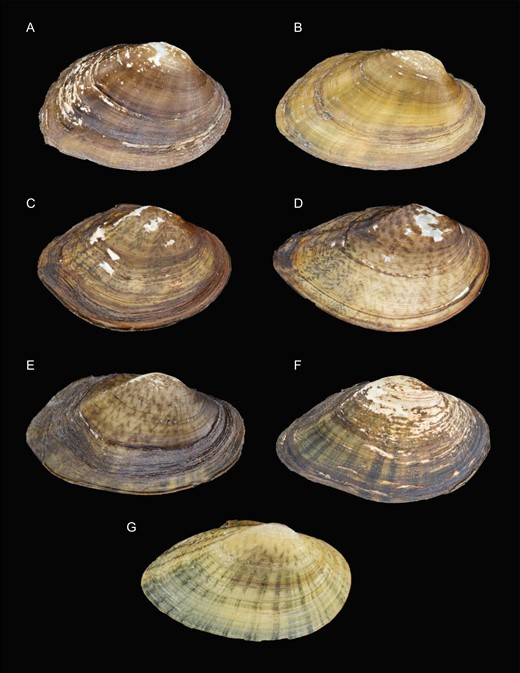 Chase Smith tweet media