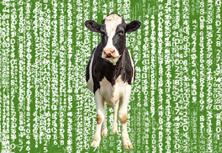 Nieuwe Netwerk tweet media