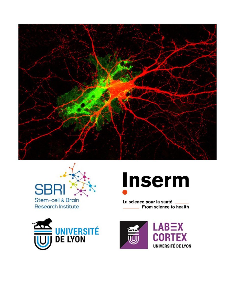 Christophe Heinrich tweet media