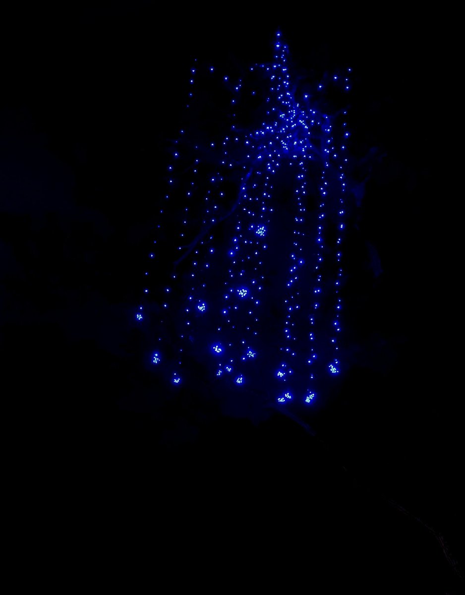 NikhaSab's tweet photo. There are Nights 🌙 
And then,There are nights like these✨️
Dullness that adored night is a flinder of fullness🖤
#Onamhere #Nights #Lights #Thiruvananthapuram #HappyOnam #Darkness #Lightsthere #photography #Love #Nightlove #Special #OMG   #Wow #hello https://t.co/g43rqq2taY