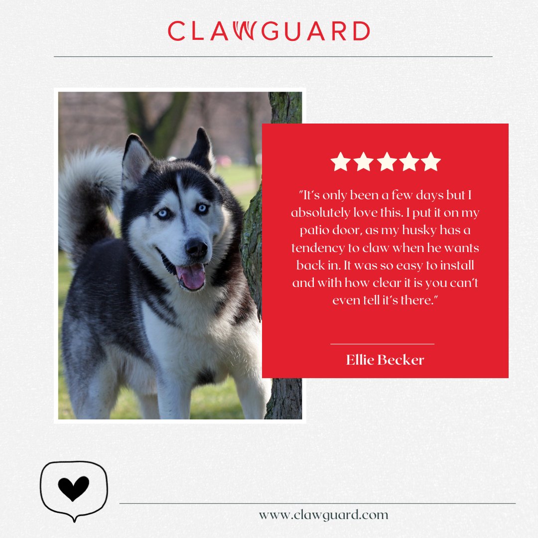 We are so glad you love our product, Ellie! ☺️ 

 #clawguard #dogs

🌐 clawguard.com