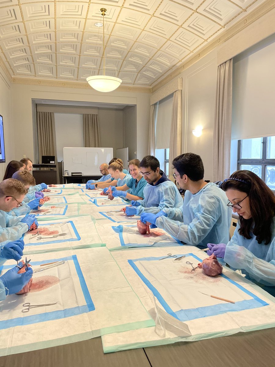 Jefferson Cardiology Fellows tweet media