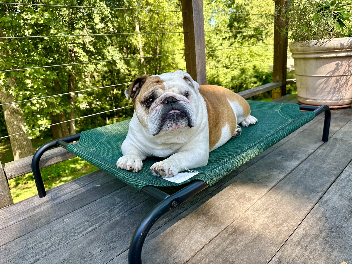 Why yes, I DO like my hammock bed….thanks for asking‼️💥🛏️🛌