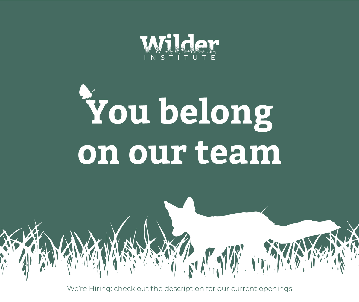 We're #Hiring! We're looking for two program managers for our whooping crane & Vancouver Island marmot conservation programs. If you're passionate about conservation, then these positions may be a great fit for you!

Apply here: bit.ly/3zWxdDC

#WildlifeJobs #JobOpening