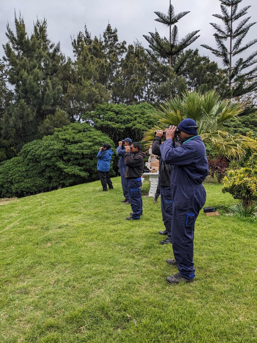 St Helena Peaks National Park tweet media