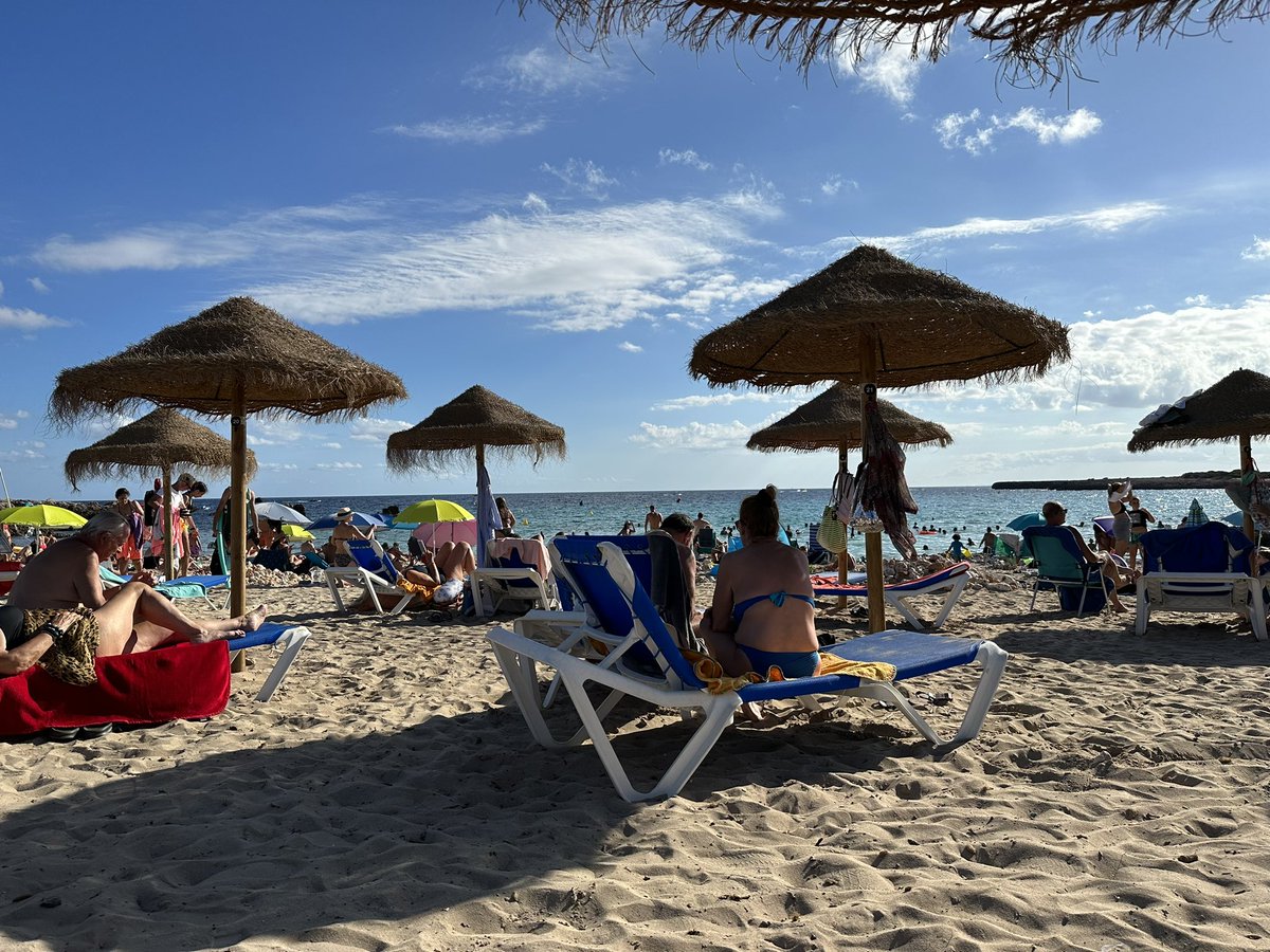 Buenas tardes desde Son Soriguer ..