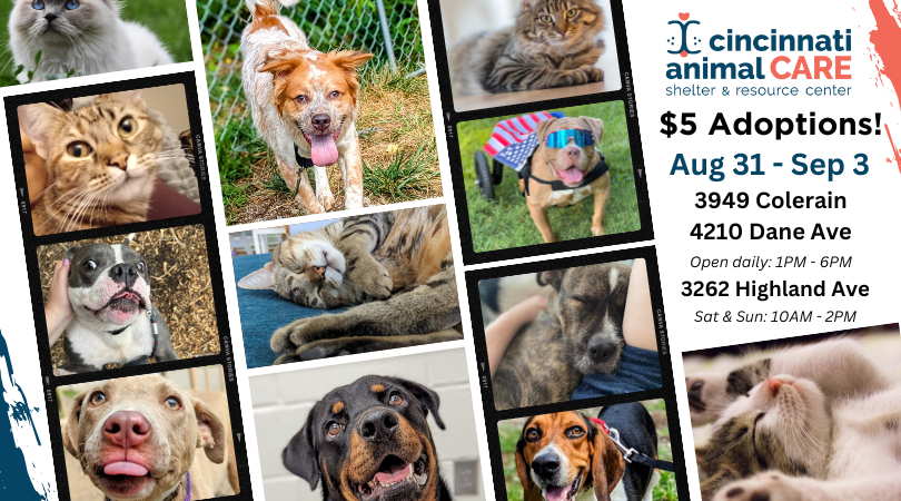 $5 adoption fees for all animals over the age of six months today through Sunday at all CAC locations and events!