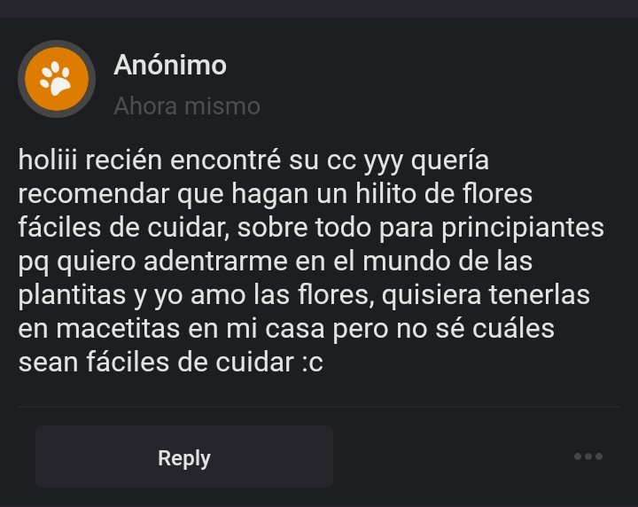 ͏ ͏ ͏ ͏ ͏ ͏›_‹ tweet media