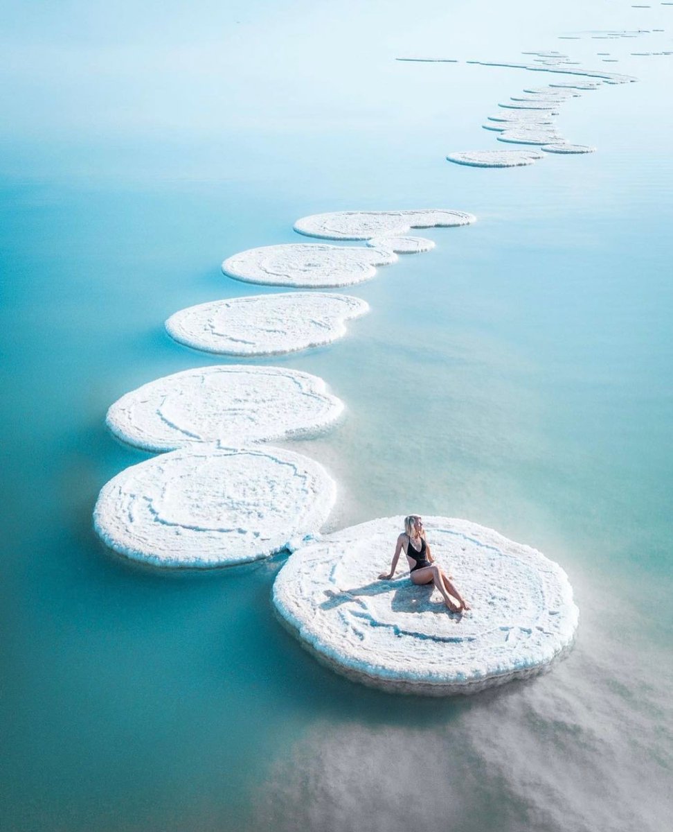 sheisnotlost's tweet photo. 🌍 kirxxii is Not Lost 🌍 in the Dead Sea #sheisnotlost https://t.co/vxHH8YOQAe https://t.co/31ZfDjsGHf