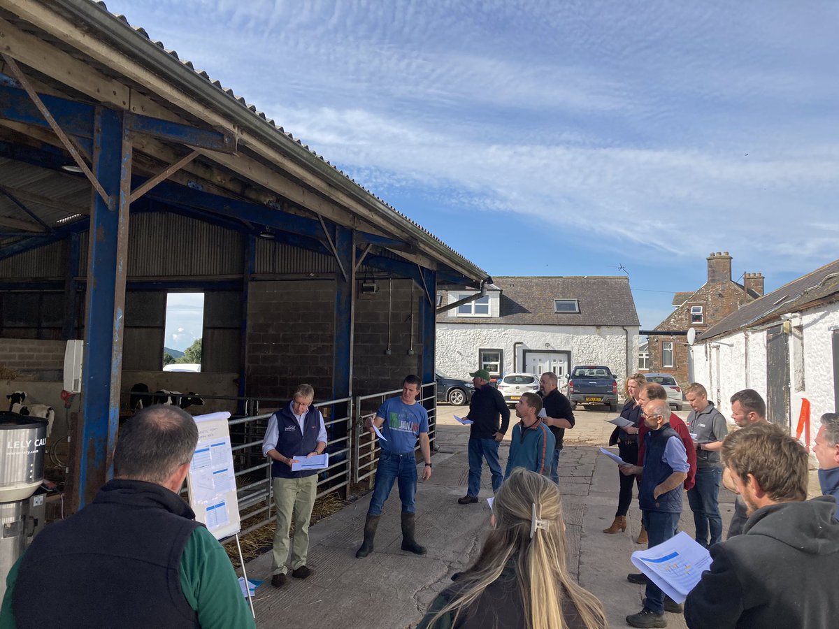 Doreen Anderson tweet media