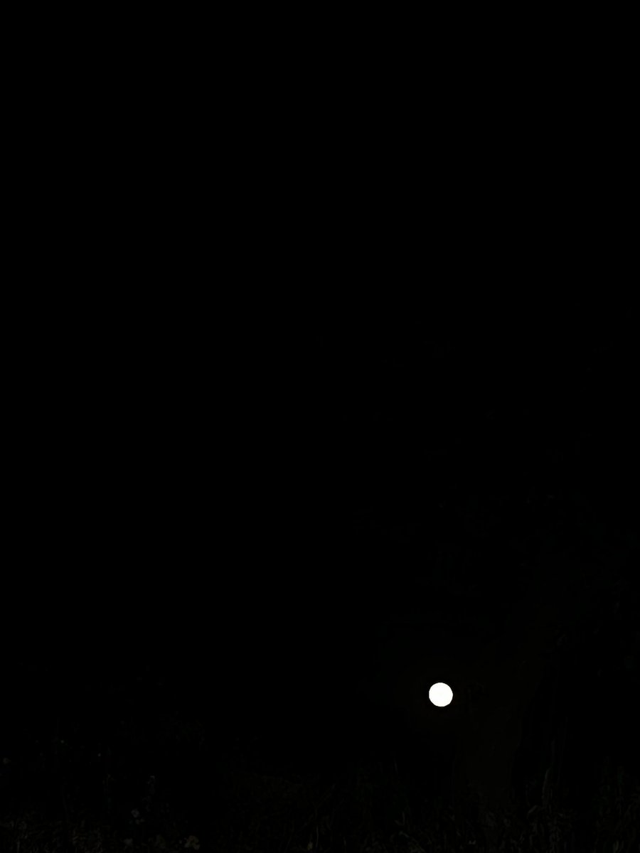 FAROOQ_JAN's tweet photo. 🌕✨ Get ready for an astronomical treat tonight! The full super moon is lighting up the sky in all its glory. Don’t miss this mesmerizing sight, it’s a celestial show you won’t want to miss! 🌝🔭 #FullSuperMoon #Astronomy #Stargazing https://t.co/neIx4BwsGn