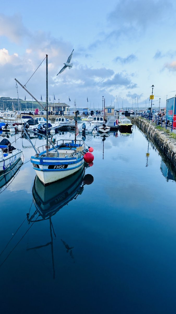 #loveFalmouth tweet media