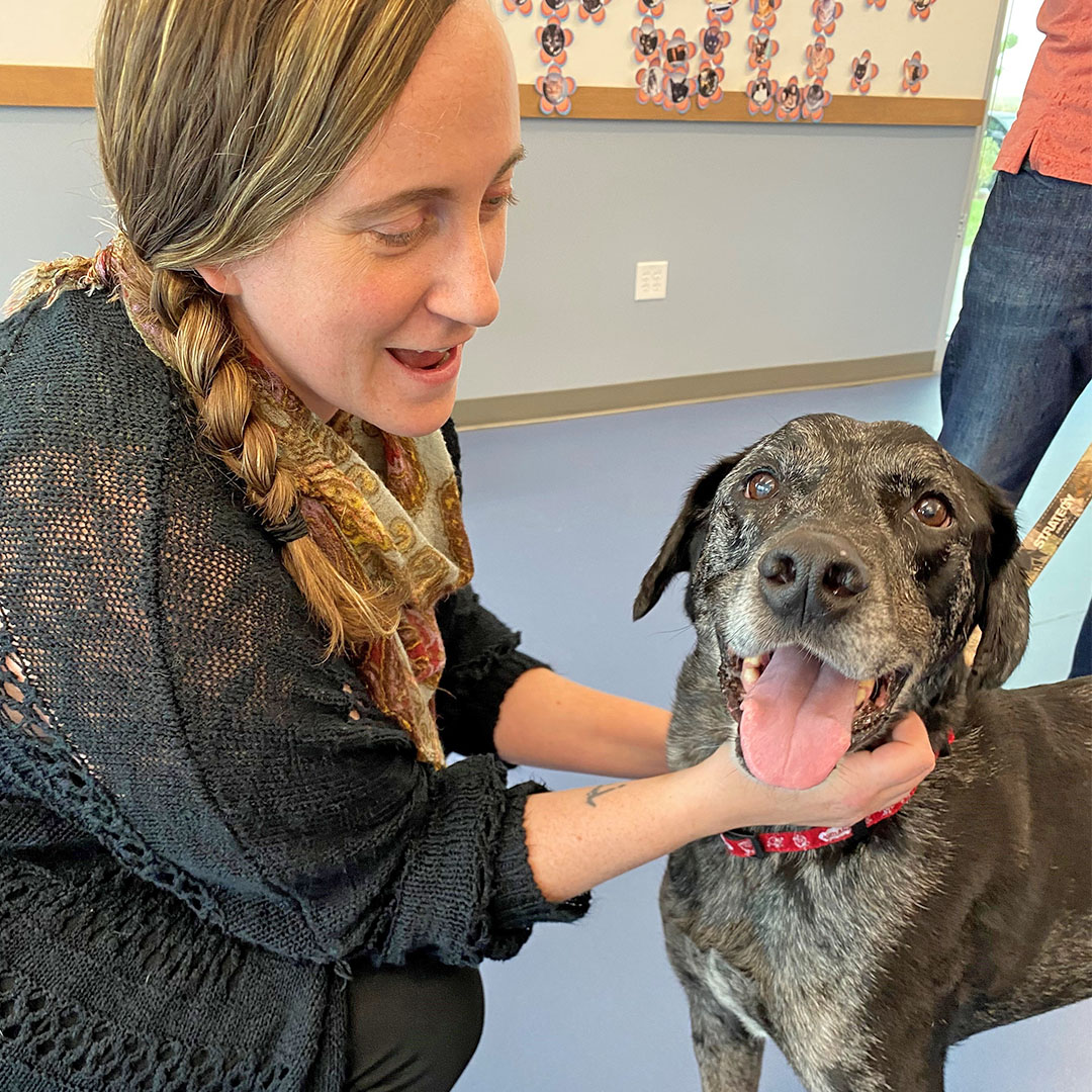 Health District tweet media