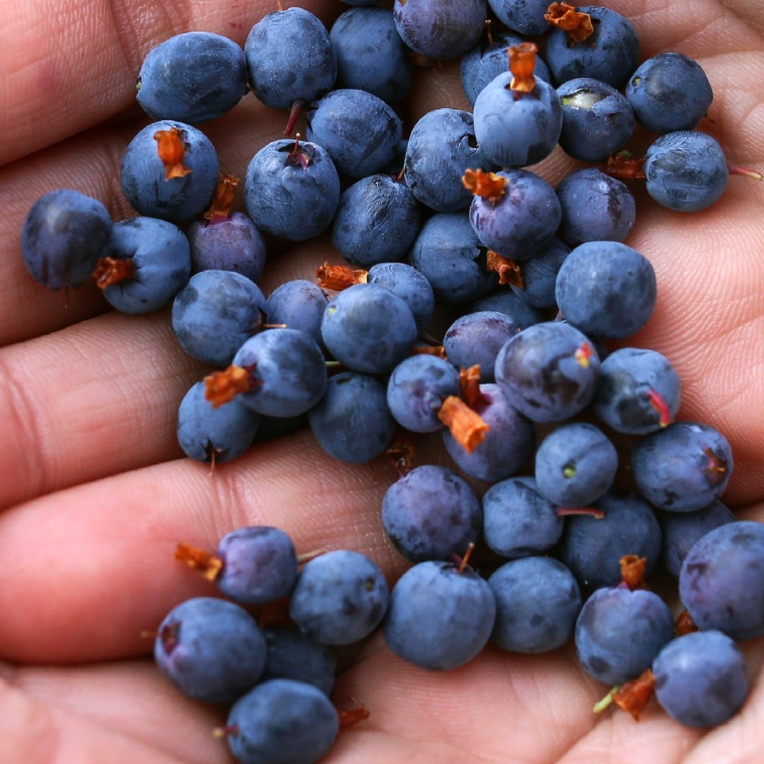 Alaska NPS tweet media